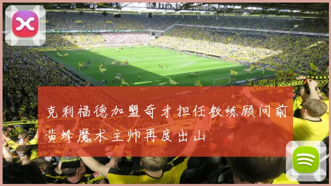克利福德加盟奇才担任教练顾问前黄蜂魔术主帅再度出山
