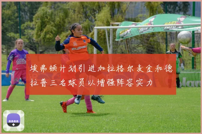 埃弗顿计划引进加拉格尔麦金和德拉普三名球员以增强阵容实力